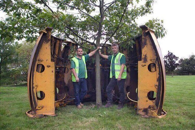 Large Tree Transplanting

